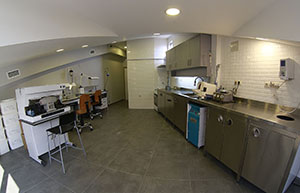 Crown Dental Labor